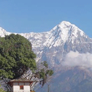 Annapurna trekking, trekking to Annapurna, Annapurna trek, Annapurna treks, Mount annapurna trekking, Mount annapurna treks, Mount annapurna trek, Annapurna trekking in Nepal, Nepal annapurna treks, Nepal annapurna area, trekking in nepal.