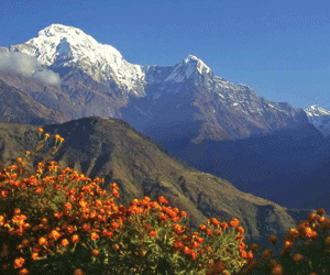 Annapurna trekking, trekking to Annapurna, Annapurna trek, Annapurna treks, Mount annapurna trekking, Mount annapurna treks, Mount annapurna trek, Annapurna trekking in Nepal, Nepal annapurna treks, Nepal annapurna area, trekking in nepal.