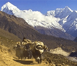 Everest region trekking, Everest region trek, Mount everest trekking, Mt. everest trekking, Trekking in everest region, Everest region treks, trekking to everest region, everest base camp region trekking